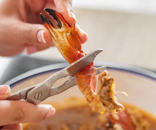 Manos usando pinzas para romper la pinza de un cangrejo cocido.