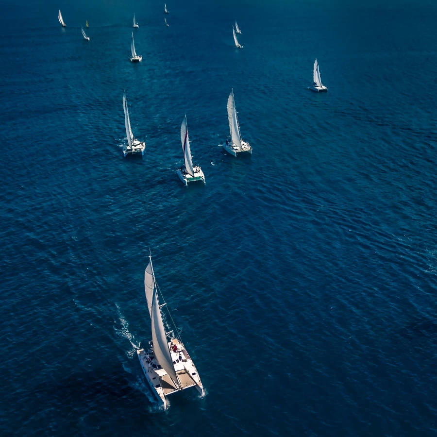 Competici&oacute;n de navegaci&oacute;n de Catamaranes F50