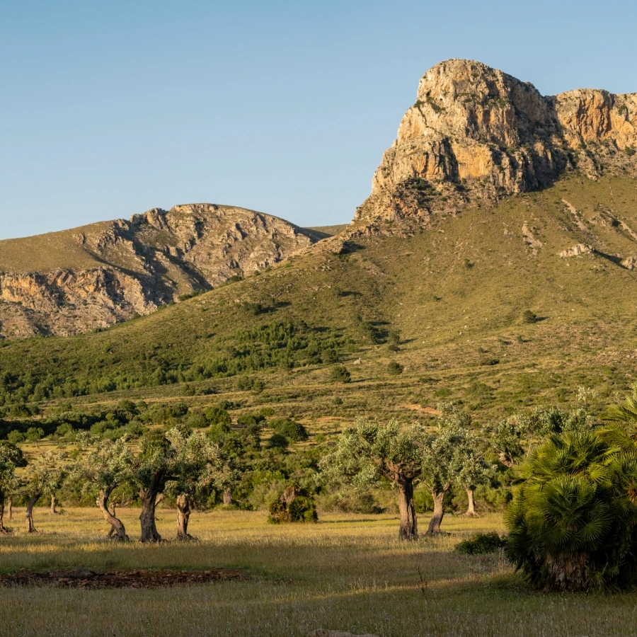 Parque natural de la Península de Llevant