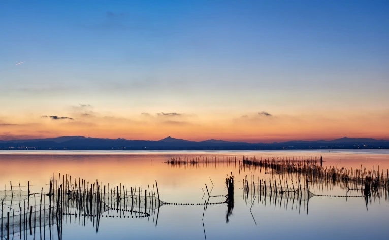 Albufera de Valencia