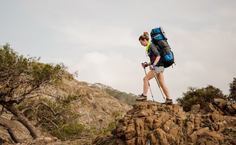 Regalo palos senderismo