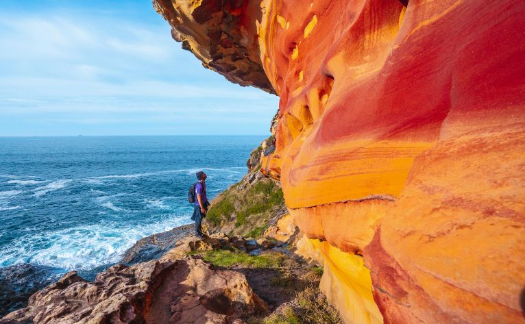 Visita guiada Valle de Labetxu