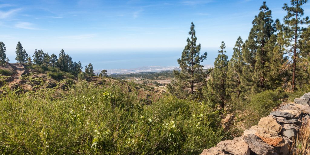 Yoga y Meditación en Pinos de Vilaflor: Guía Práctica - Spa Villalba