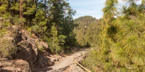 Sendero de monta&ntilde;a en Tenerife cerca del Hotel Spa Villalba