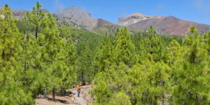 Paysage volcanique de Tenerife : comment le comprendre et en profiter. - Spa Villalba
