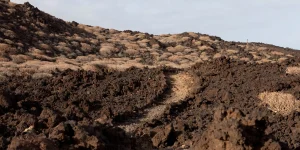 Paysage volcanique de Tenerife : comment le comprendre et en profiter. - Spa Villalba