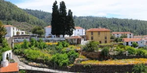 Panoramic view of the traditional village of Vilaflor surrounded by pine trees in Tenerife.