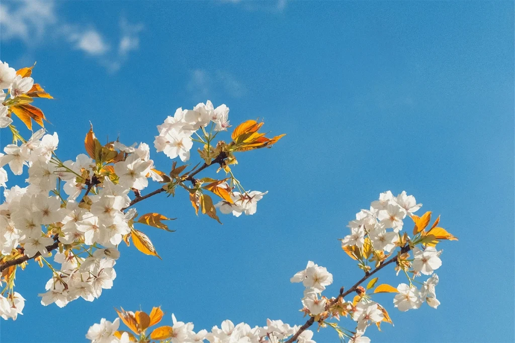 Spring getaways in Spain: three destinations to inspire you - URH Hoteliers