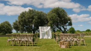 El vi&ntilde;edo antes de la vendimia: El momento m&aacute;s sereno para celebrar - Olivia Hotels
