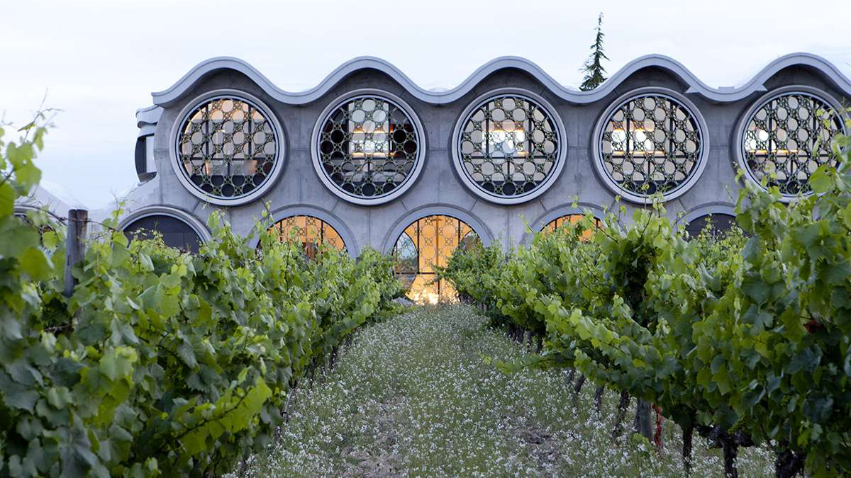El vi&ntilde;edo antes de la vendimia: El momento m&aacute;s sereno para celebrar - Olivia Hotels