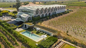 Bajo el mismo cielo: Una noche para detener el tiempo entre viñedos - Olivia Hotels