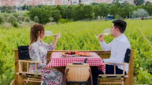 El verano empieza entre viñedos - Olivia Hotels