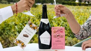 El verano empieza entre viñedos - Olivia Hotels