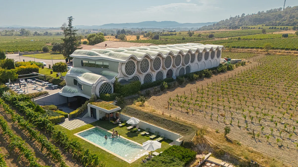 Cuando el Pened&egrave;s cobra vida: La emoci&oacute;n de la vendimia - Olivia Hotels