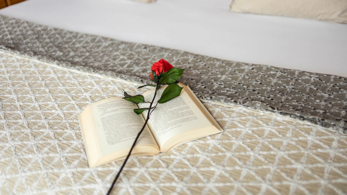 Celebrar Sant Jordi en Barcelona: tradici&oacute;n, gastronom&iacute;a y experiencia - Olivia Hotels