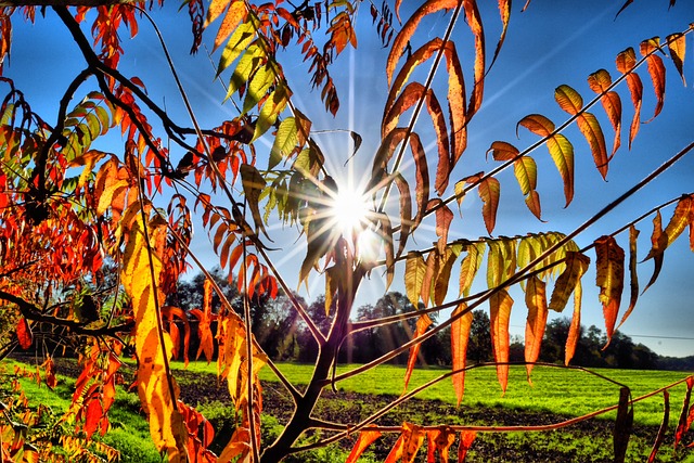 Hotel La Milagrosa Be Alicante
