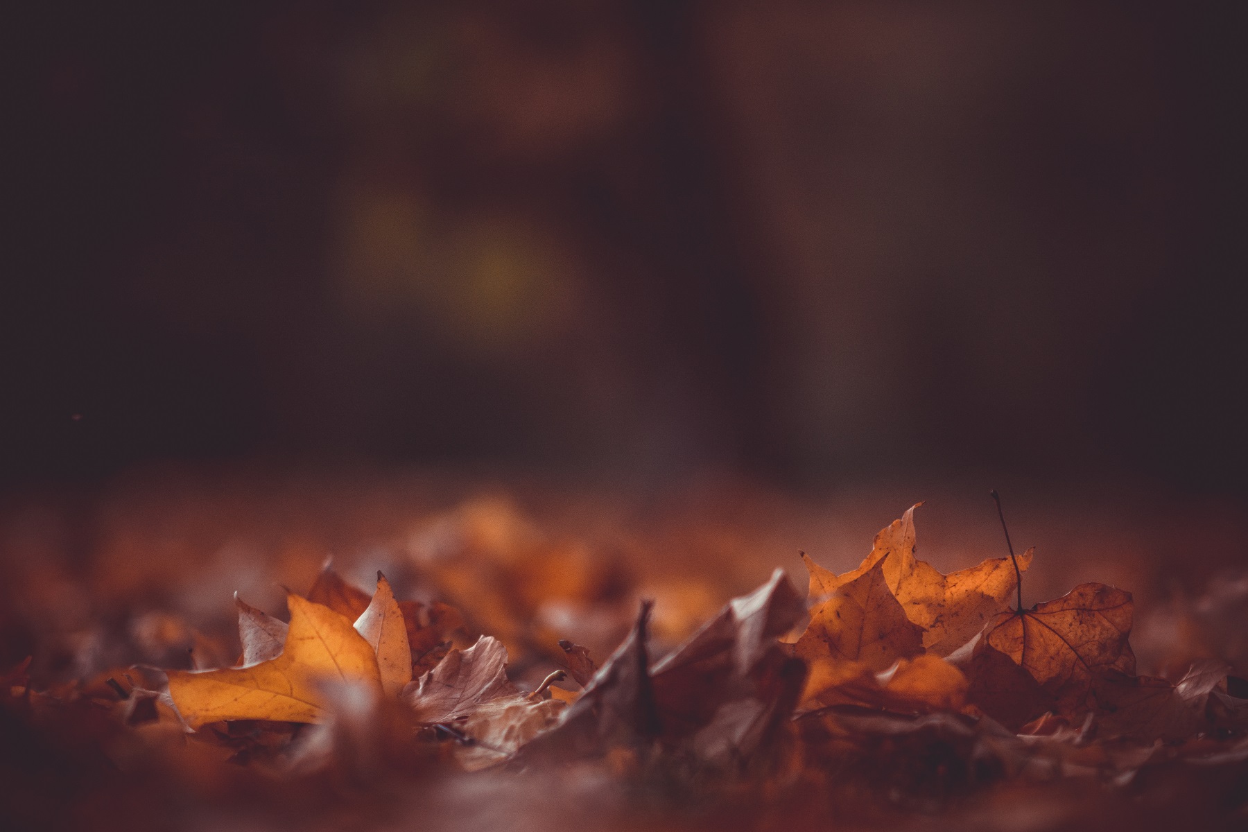 Barcelona en otoño 2