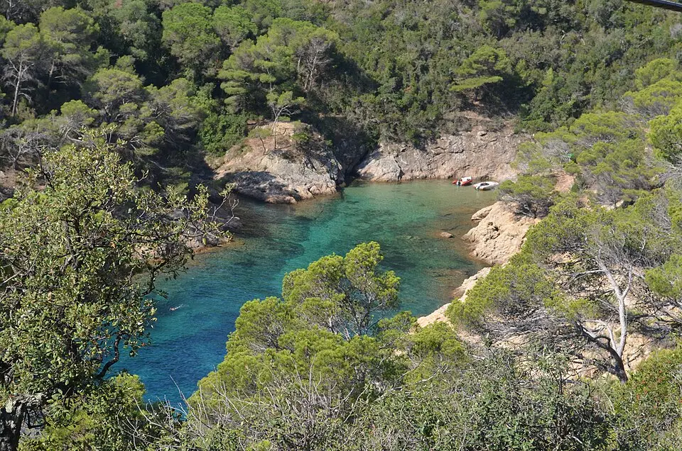 Cala Bona (Tossa de Mar)