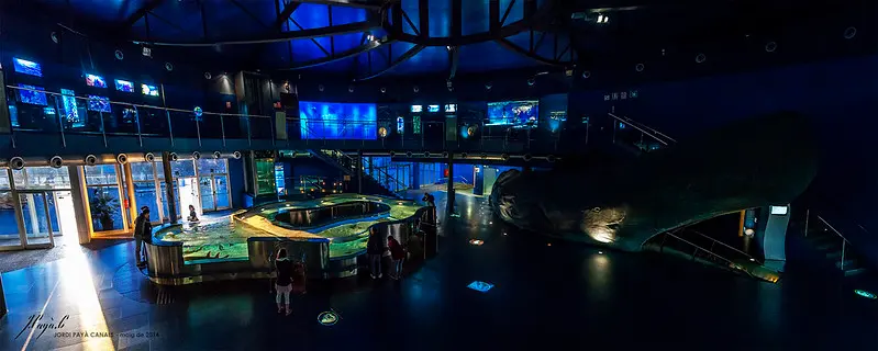 CosmoCaixa Barcelona
