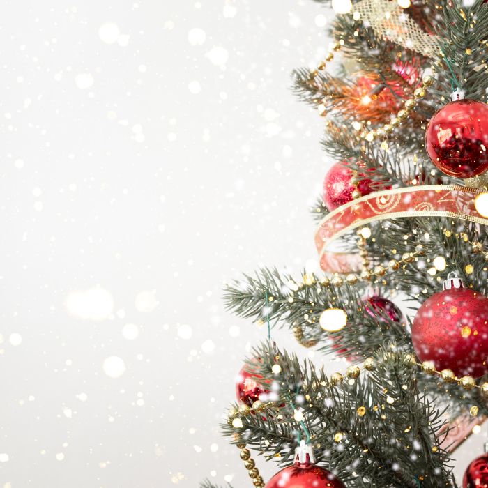 Natale 2025 - hcc hotels