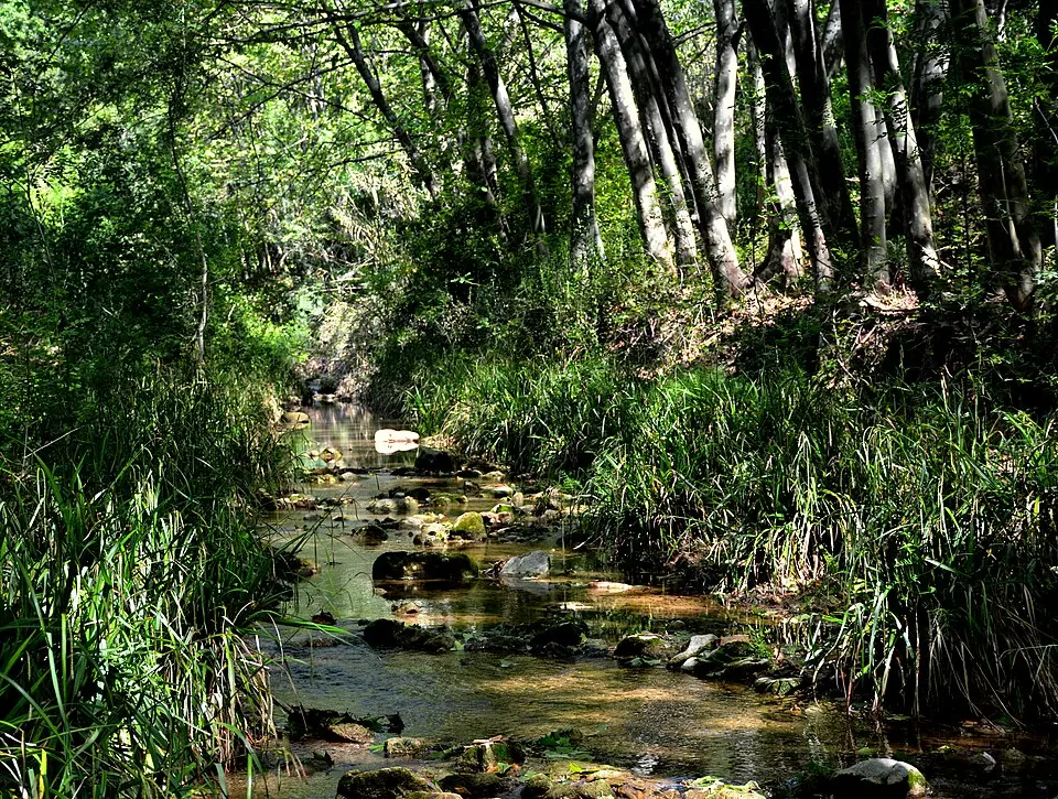 Riera_de_Pontons_al_seu_pas_per_les_Dous