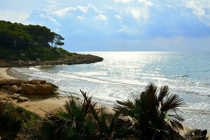 calas Barcelona