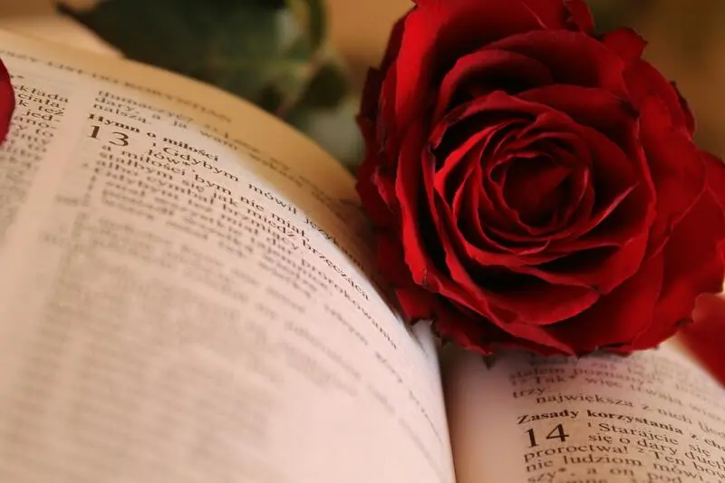 rosas y libros Sant Jordi 2026