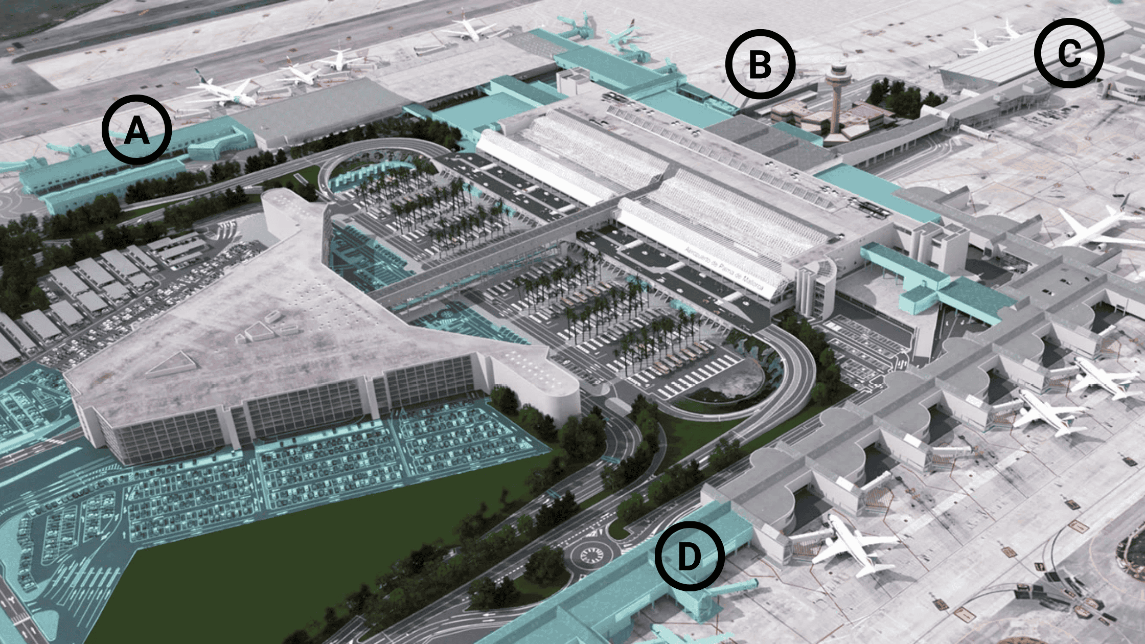 Your Guide to Palma Airport - Club Mac