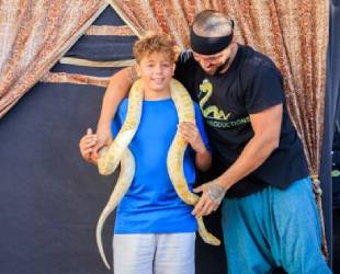 Spectacle de reptiles - Club Mac